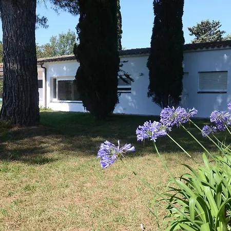 Roig Holiday home *